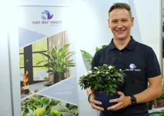 Thomas Ris van Van der Voort Potplanten toonde het kerst en valentijn assortiment van Azalea en Spathiphyllum.